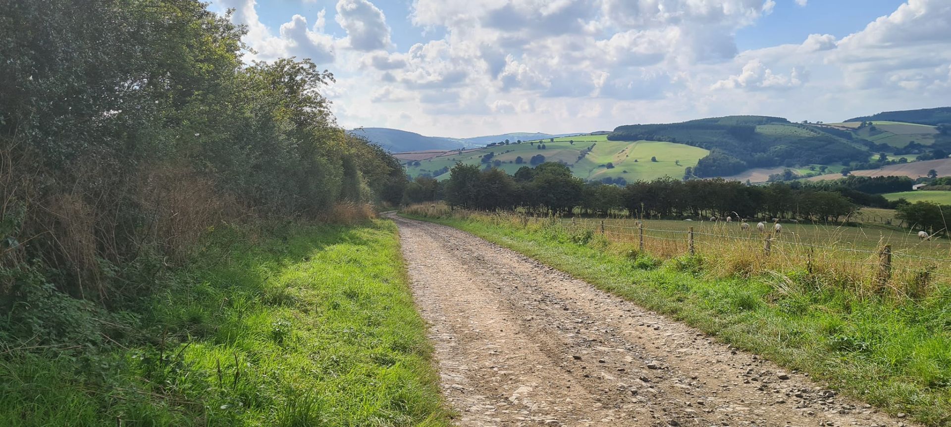 farm track to Kempton
